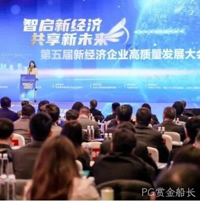 PG赏金船长</a>荣登“2024中国新经济企业TOP500”