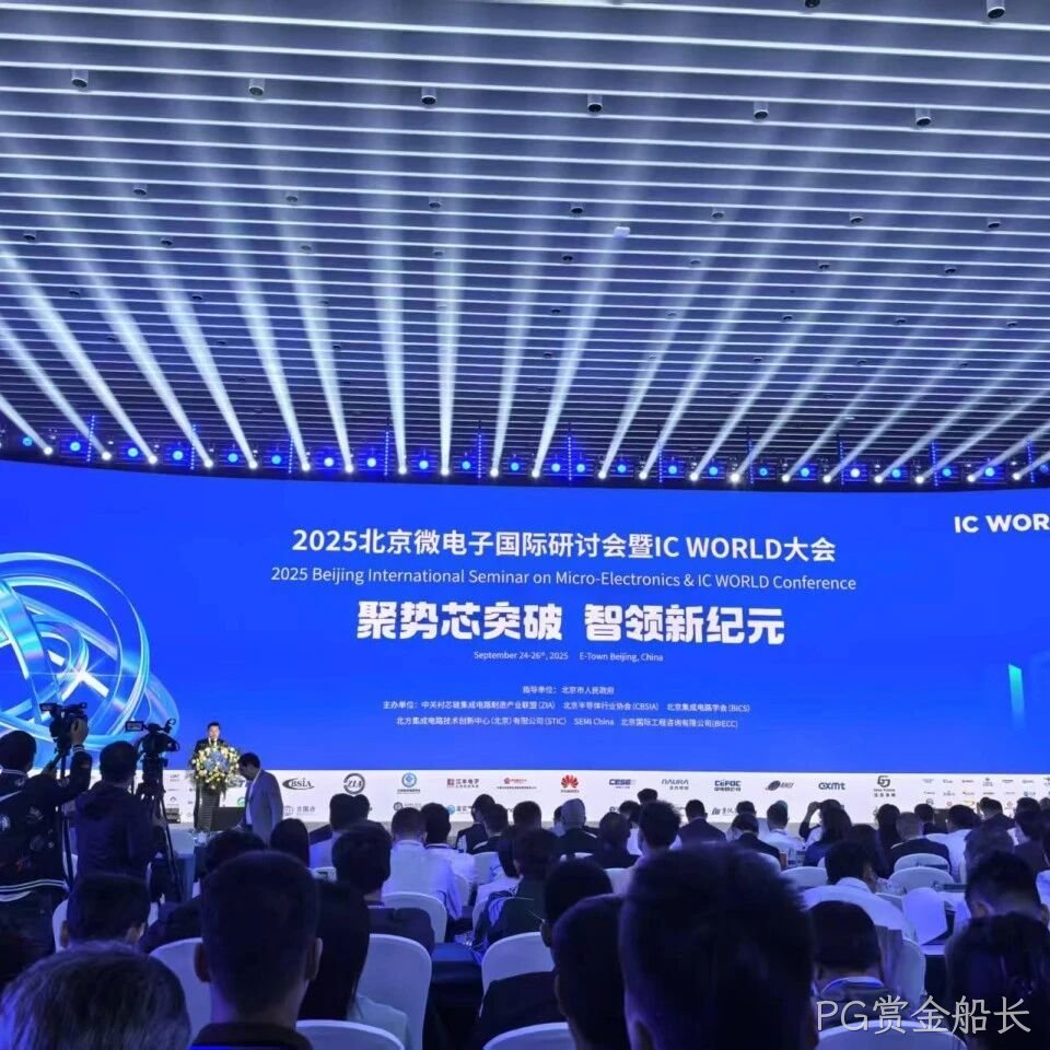 PG赏金船长</a>参加2025北京微电子国际研讨会暨IC WORLD大会